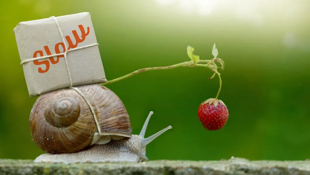 Mouvement Slow : les marques entrent dans la danse !