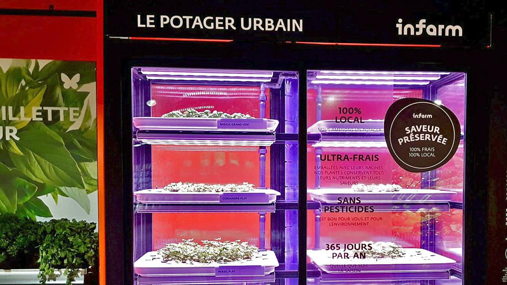 Les Mousquetaires adoptent le potager urbain en magasin