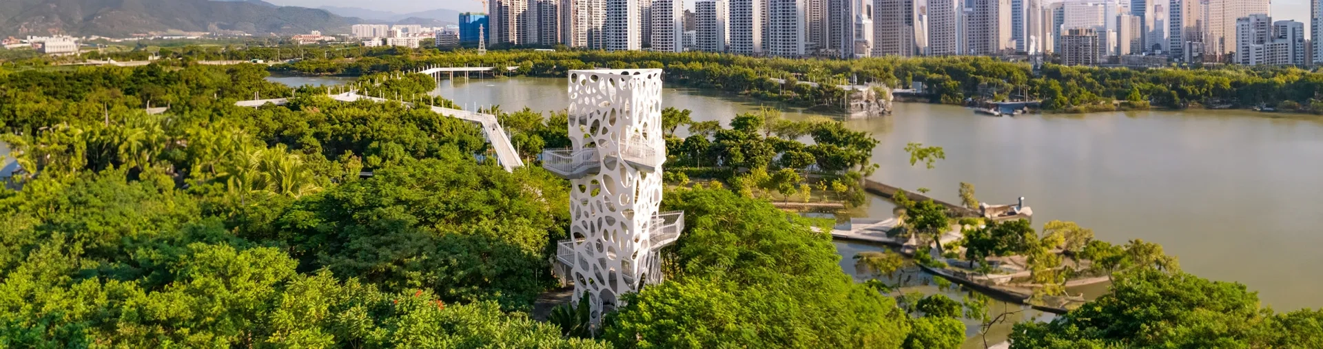 Et si la ville la plus durable était une éponge ?