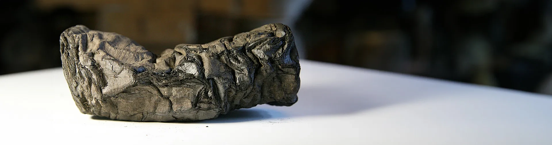 Partie de parchemin pétrifié dans la lave du Vésuve