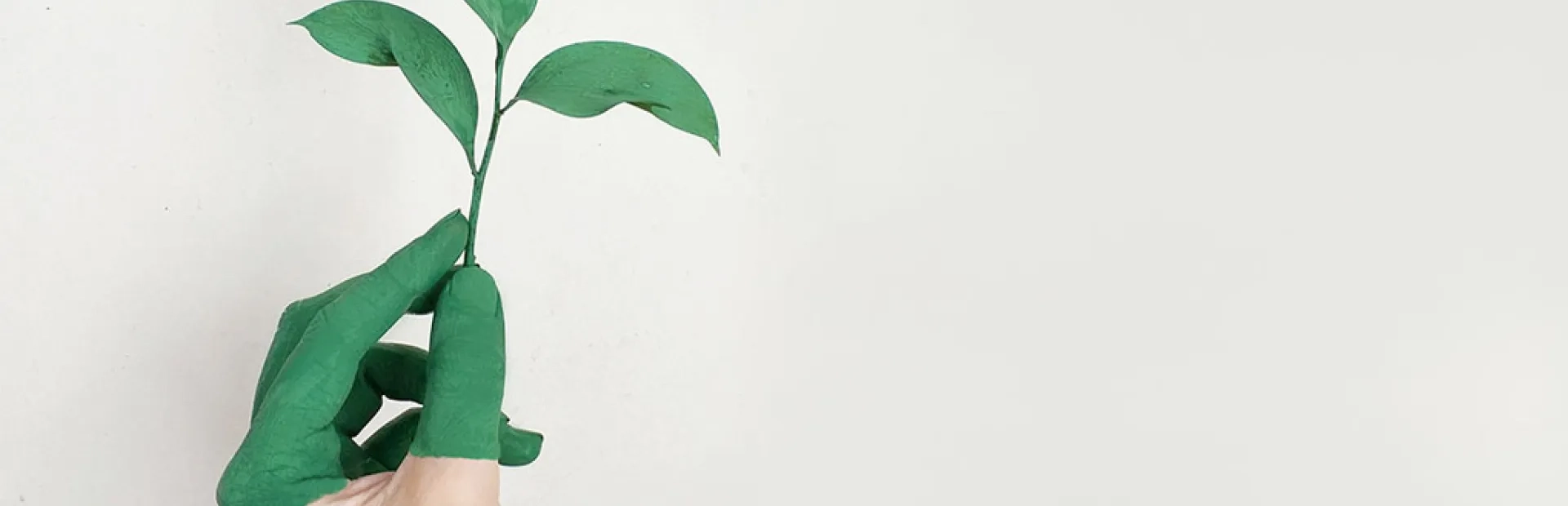 Greenwashing : 3 Français sur 4 ne croient pas aux promesses « vertes » des marques