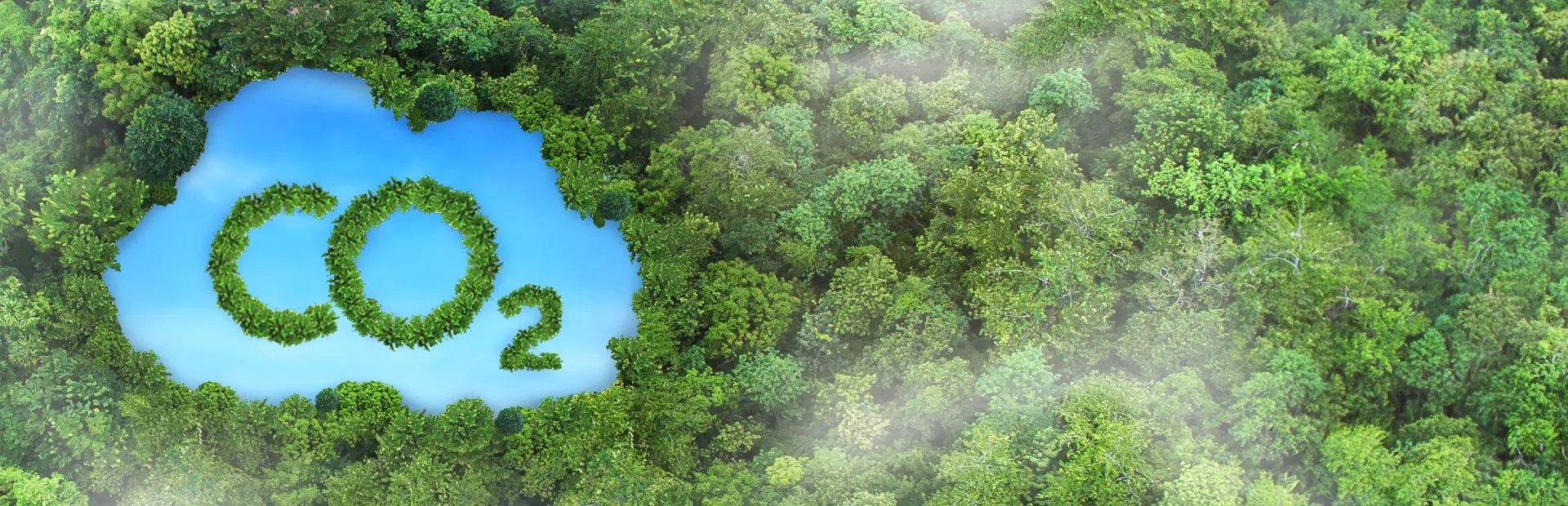 Comment se différencier en évitant le risque de greenwashing ?