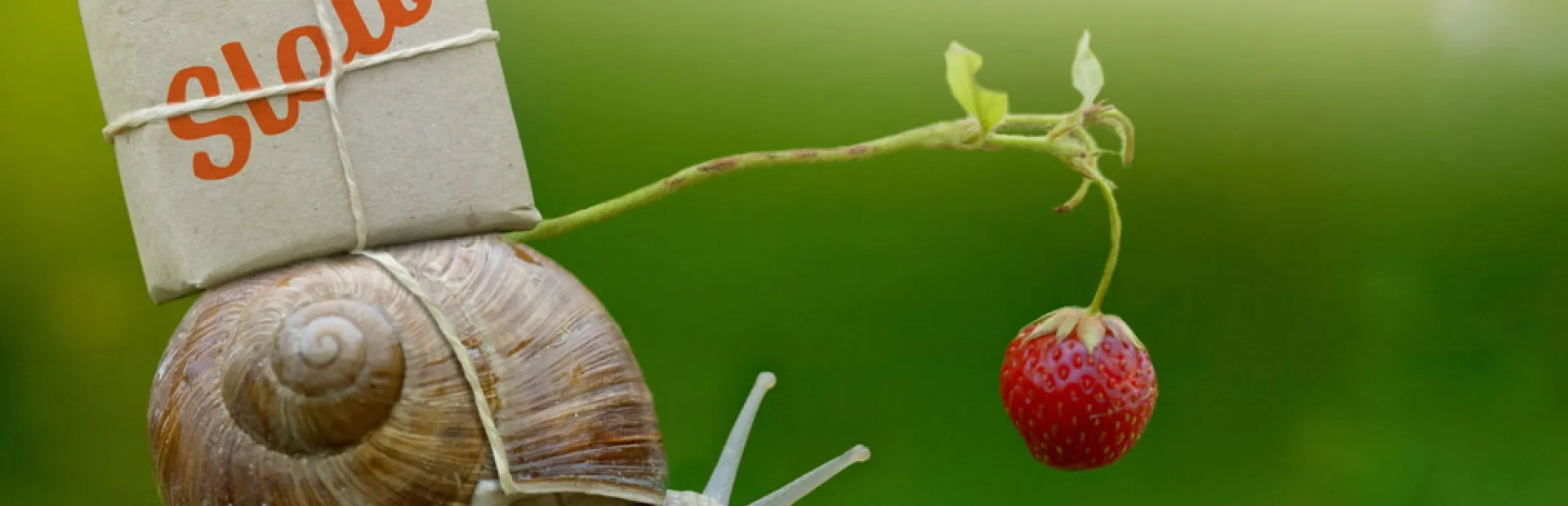 Mouvement Slow : les marques entrent dans la danse !
