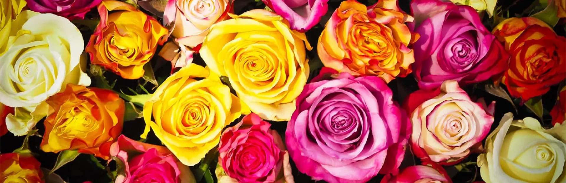 Interflora livre vos fleurs même si vous ignorez l’adresse du destinataire