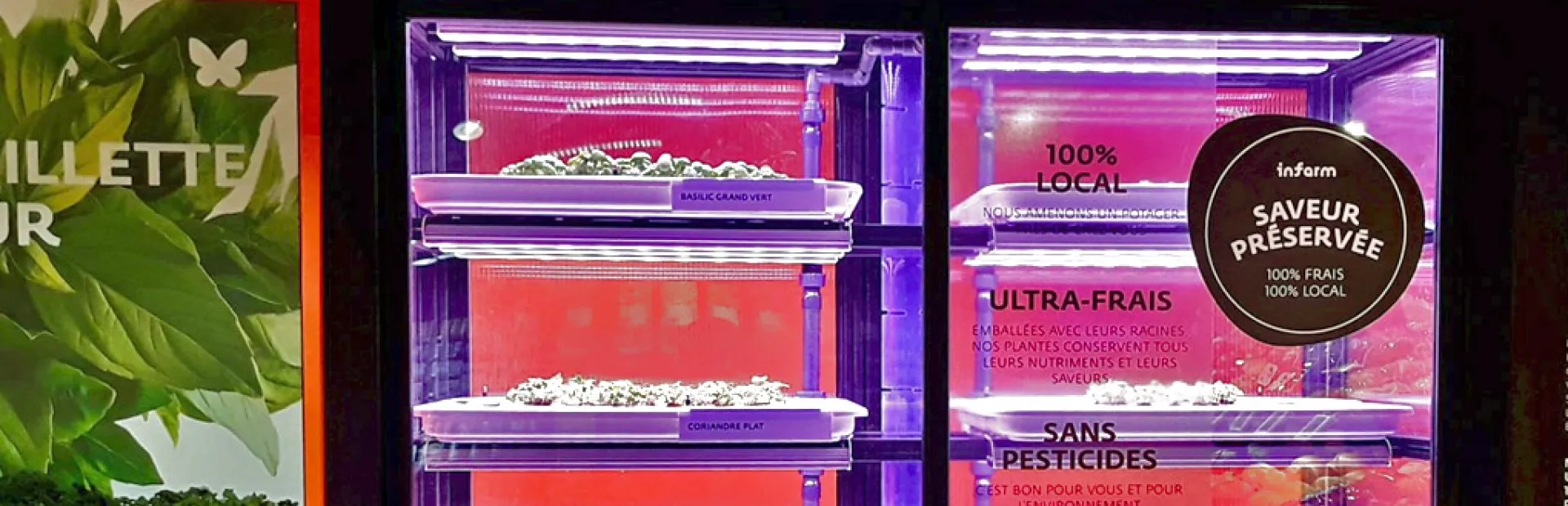 Les Mousquetaires adoptent le potager urbain en magasin