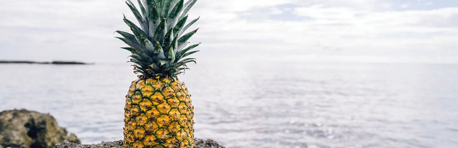 Retargeting : l’île de la Réunion récompensée pour sa campagne alléchante !