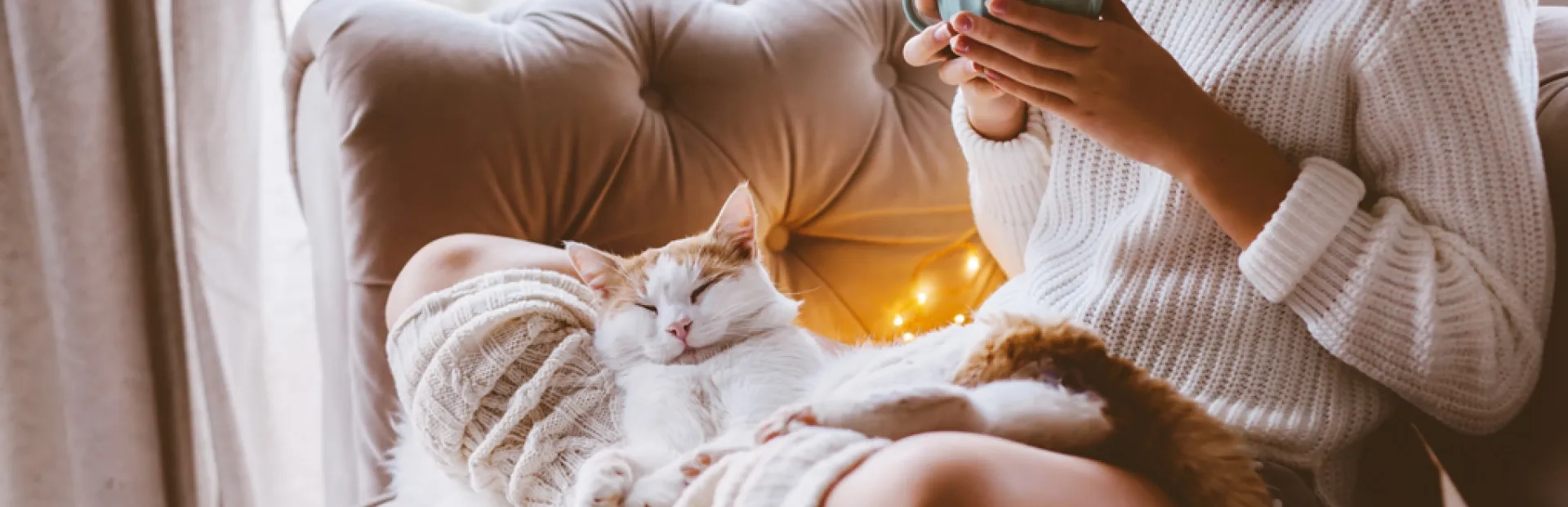 Sobriété énergétique : ces marques qui aident leurs clients à passer l’hiver