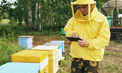 Des abeilles assistées par l’IA traquent la pollution