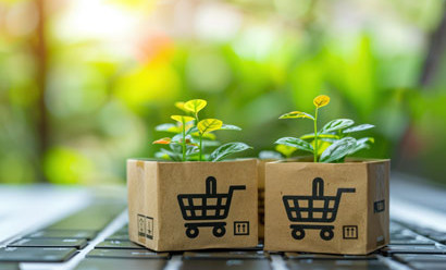 Des plantes poussent dans des cartons écologiques