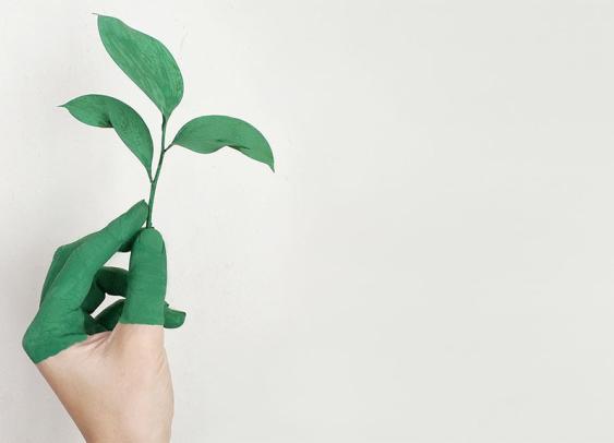 Greenwashing : 3 Français sur 4 ne croient pas aux promesses « vertes » des marques