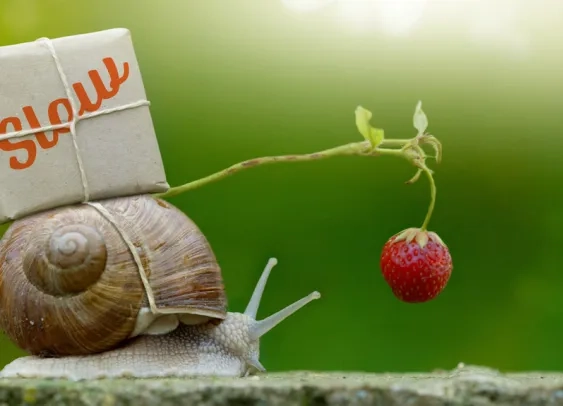 Mouvement Slow : les marques entrent dans la danse !