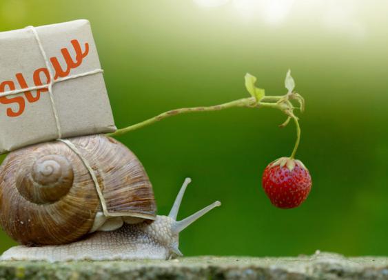 Mouvement Slow : les marques entrent dans la danse !