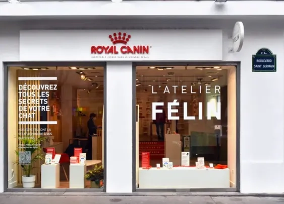 Royal Canin ouvre l’Atelier Félin, un magasin dédié aux chats