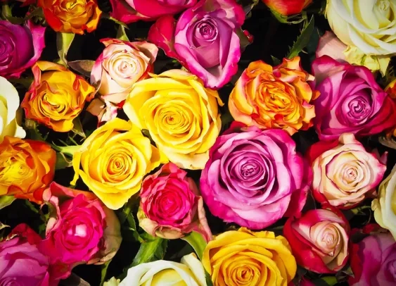 Interflora livre vos fleurs même si vous ignorez l’adresse du destinataire