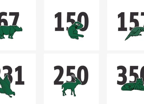 Le crocodile de Lacoste remplacé par des espèces menacées