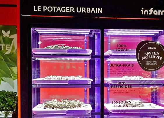 Les Mousquetaires adoptent le potager urbain en magasin