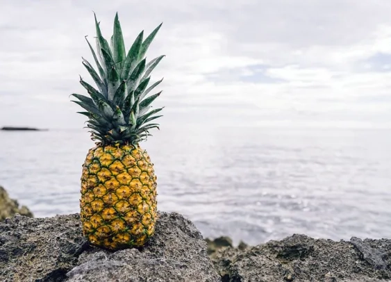 Retargeting : l’île de la Réunion récompensée pour sa campagne alléchante !