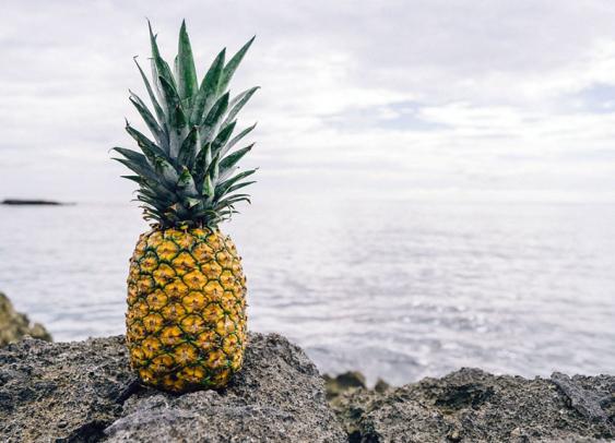 Retargeting : l’île de la Réunion récompensée pour sa campagne alléchante !