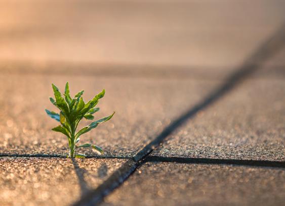 Le marketing responsable, oxymore ou nouveau défi ?