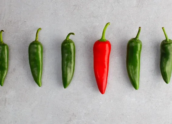 Déstandardisation : comment sortir du copié-collé ?